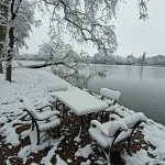 A fák csak útban … Angolkert – Tata