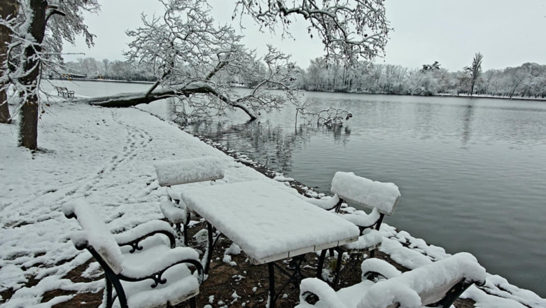 A fák csak útban … Angolkert – Tata