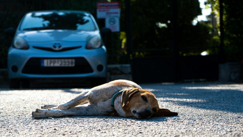 Megunták? Kidobták!